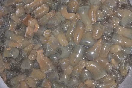 Sau khi các nhà hàng mua về, họ sẽ chế biến thành các món ăn như súp chuối (nấu với gốc chuối, quả chuối xanh).