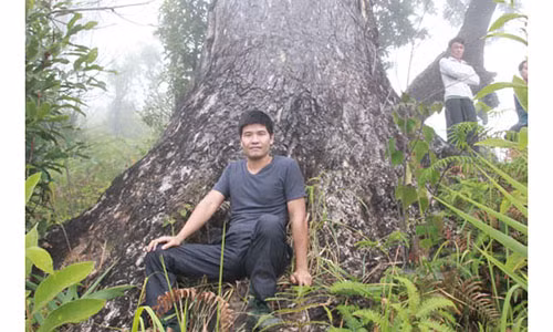 Khu rung voi nhung “cay than” khong lo ngon chim trong may