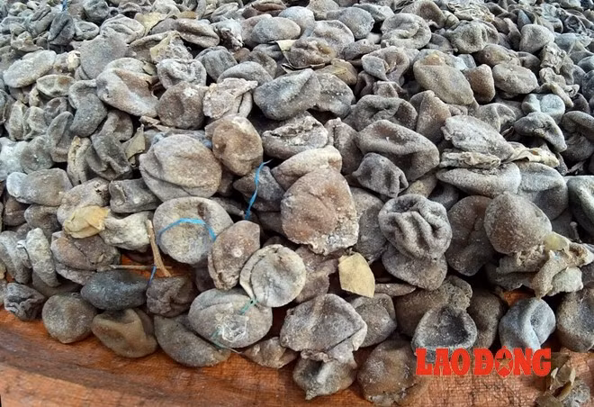 Nhiều loại quả lên men, có màu ám mốc.