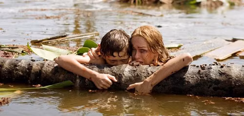 The Impossible (2012) Tác phẩm về thảm họa thiên tai mang về cho Naomi Watts đề cử Oscar cho “Nữ Diễn Viên Chính Xuất Sắc Nhất”, The Impossible mang đến một cái nhìn thiện cảm về tình người, tình cảm gia đình khi phải đối mặt với cơn sóng thần lịch sử. Người mẹ nghị lực do Naomi thủ vai mang đến thiện cảm trong ánh mắt khán giả, song song đó là mang đến cho khán giả cảm giác thương cảm pha tí sởn gai óc khi thấy các vết thương không ngừng rỉ máu trên cơ thể trên cơ thể của ngôi sao The Ring.