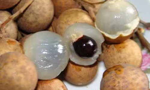 Loi ich suc khoe tuyet voi tu qua nhan