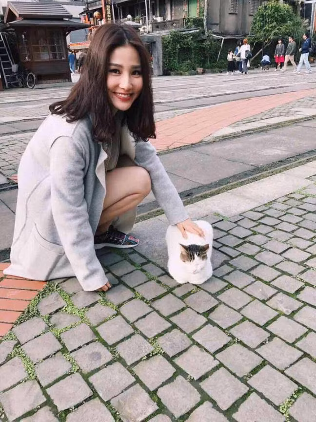 Diễm My thích thú khoe cảm xúc khi xuống phố gặp mèo dễ thương:Muốn ôm bé mèo đáng yêu này về nhà ngay luôn.