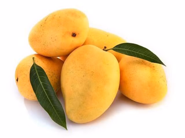 Xoài Kesar không chỉ được ưa chuộng tại Ấn Độ mà còn được xuất khẩu sang nhiều nước khác, trong đó có Mỹ.