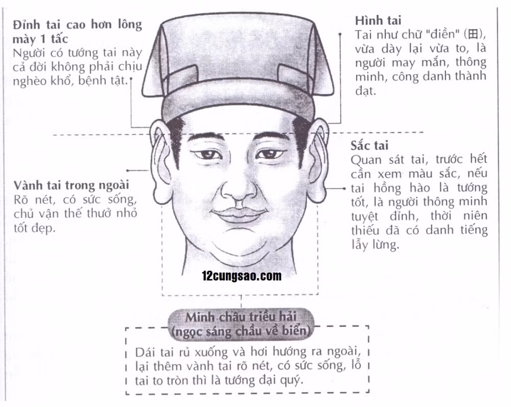 Xem tuong tai: Nguoi van menh giau sang, ke ngheo kho tram be