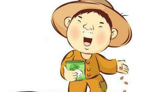 Tuyet chieu phong thuy khai van trong tiet Mang Chung