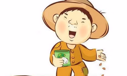 Tuyet chieu phong thuy khai van trong tiet Mang Chung