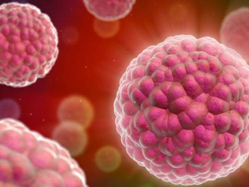 Ngăn ngừa ung thư: Do chứa nhiều chất chống ôxy hóa nên sung có thể ngăn chặn các quá trình phá hủy tế bào do gốc tự do gây ra và bảo vệ chúng ta khỏi nhiều bệnh ung thư.