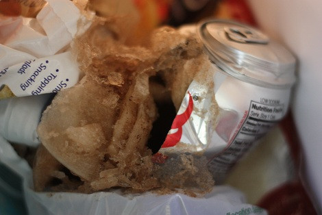 Nguyên nhân dẫn đến "vụ nổ" được xác định là do khi nước đông lạnh thành đá, chúng sẽ chiếm nhiều diện tích hơn. Mặc dù mỗi lon nước đều được thiết kế chừa ra 1 phần diện tích để phòng trường hợp này. Tuy nhiên, có những lúc bị nở quá mức hết phần trống, thêm vào đó khí gas bên trong các lon nước giải khát, chúng sẽ dễ dàng phát nổ vì lực ép bên trong đã đạt đến đỉnh điểm. Thông thường, những lon nước ngọt như thế này sẽ phát nổ ngay khi còn trong tủ lạnh. Tuy nhiên, những trường hợp hy hữu như trên vẫn có thể xảy ra.