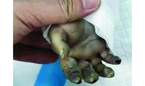 An han tot cung vi dung may say toc do con nin khoc