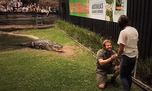 Billy Collett cầu hôn bạn gái trước mặt cá sấu và nhiều khán giả.