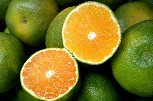 5. Cam Cam cũng chứa lượng vitamin C không kém gì chanh, vì thế tích cực ăn cam hoặc uống nước ép cam để cải thiện làn da từ sâu bên trong nhé.