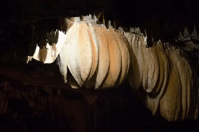 Động mới được phát hiện năm 2007 do cửa động rất nhỏ và bị cây cối che phủ rất khó tìm.