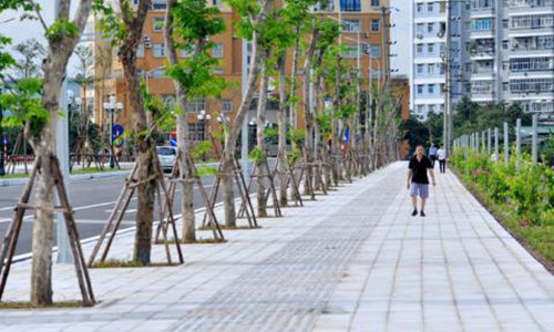 Lat da via he Ha Noi De xuat dung do gia