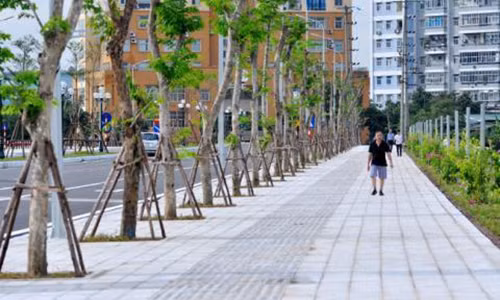 Lat da via he Ha Noi De xuat dung do gia