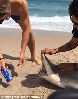 Phan no canh thanh nien dung rang ca map mo lon bia