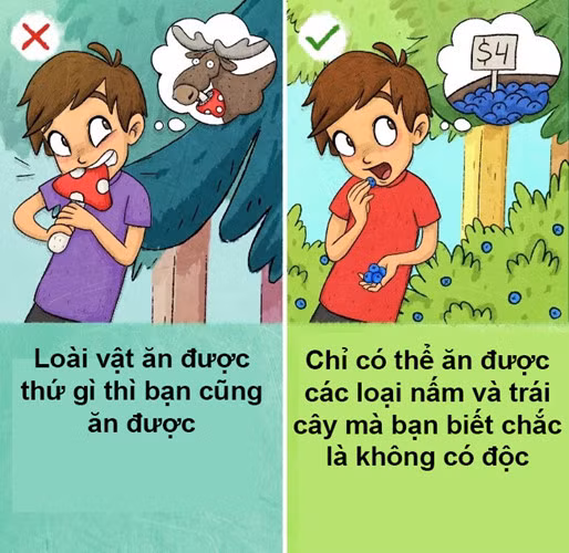 Có một thực tế là một vài loại trái cây và nấm khi ăn vào có thể nguy hiểm đến tính mạng con người nhưng lại không độc với động vật. Vì vậy, cách tốt nhất là chỉ ăn những loại quả mà bạn biết chắc chúng an toàn.