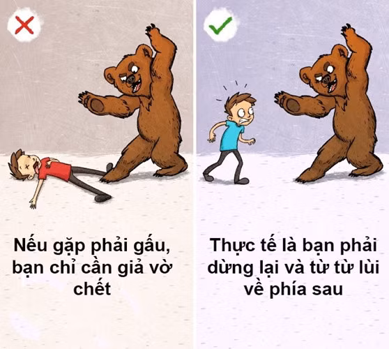 Những con gấu không hề muốn tấn công bạn. Tuy nhiên, nếu tình huống này xảy ra, bạn chỉ cần lùi lại phía sau và nhắm mắt lại. Hãy giữ khoảng cách bởi điều này làm con gấu thấy rằng bạn không có ý định chiếm lãnh thổ của chúng.