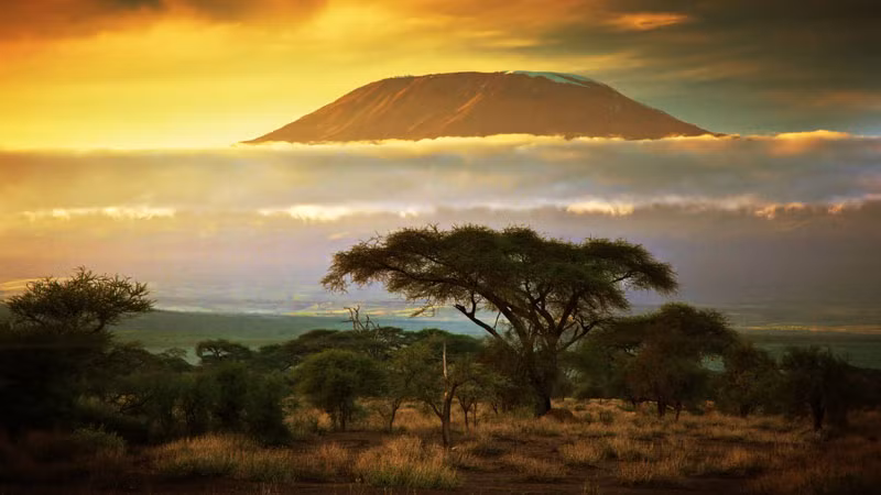 Diện tích băng của Kilimanjaro đang mỏng dần và thu hẹp. Với tốc độ hiện tại, Kilimanjaro được dự đoán sẽ không còn băng vào khoảng năm 2022-2033.