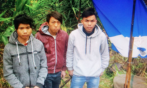 Dan canh bat coc de nguoi yeu cu quay tro lai