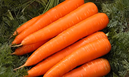 Nhung thuc pham tot cho nguoi tieu duong