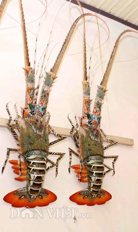 Vợ chồng cụ Châu chủ yếu phụ trách việc làm râu tôm. Hai người cháu gái chịu trách nhiệm việc lắp ráp các đốt tre để tạo hình cho con tôm. Những việc còn lại như: cưa đốt tre, sơn màu... đều do vợ chồng anh Sơn lo liệu.