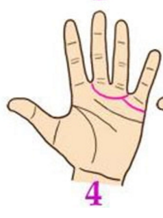 Đường chỉ tay số 4 Đường chỉ tay này là biểu tượng của sự may mắn, của hạnh phúc. Nếu bạn may mắn sở hữu đường chỉ tay này, cuộc sống của bạn dường như luôn trôi qua một cách êm đềm, ít sóng gió. Không những vậy, con đường công danh sự nghiệp cũng như cuộc sống gia đình của bạn luôn được trải hoa hồng. Bạn dường như ít gặp phải chuyện buồn phiền, nếu có cũng nhanh chóng qua đi.