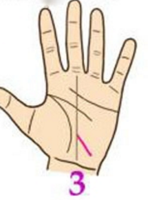 Đường chỉ tay số 3 Đường chỉ tay này càng rõ ràng thì càng cho thấy bạn là một người vô cùng ưu tú. Bằng sự khéo léo và kỹ năng giao tiếp xã hội tốt nên bạn được mọi người yêu quý và giúp đỡ nhiệt tình. Ngay cả trong các mối quan hệ khác phái, bạn cũng tạo ra những ấn tượng tốt và được nhiều người theo đuổi.
