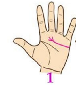 Đường chỉ tay số 1 Những người sở hữu đường chỉ tay này thường mang lại nhiều may mắn cho mọi người xung quanh. Chính vì thế nếu bạn đang hẹn hò hoặc đã kết hôn với người này thì hãy cảm thấy hạnh phúc đi nhé bởi vì chỉ cần ở bên cạnh họ thì mọi may mắn sẽ đến với bạn.