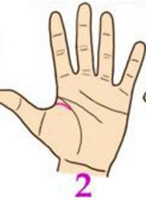 Đường chỉ tay số 2 Đường chỉ tay này cho thấy bạn là người khá nổi bật, có nhiều điểm thu hút. Không những vậy sự nghiệp của bạn vô cùng thành công, bạn có nhiều cơ hội được gặp gỡ, giao lưu với nhiều người, bởi vậy khả năng tìm được ý trung nhân với bạn cũng tương đối dễ dàng và thuận lợi.