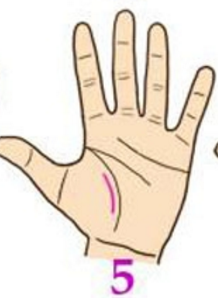 Đường chỉ tay số 5 Những người có đường chỉ tay này luôn có quý nhân phù trợ. Họ thường gặp được người có thể giúp đỡ và hỗ trợ trong công việc cũng như cuộc sống hàng ngày. Và một điều thú vị là quý nhân này có thể là chồng hoặc vợ tương lai của bạn.