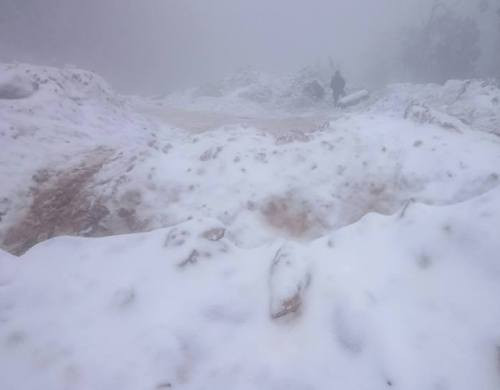 Những nơi xuất hiện nhiều tuyết phải kể đến vùng biên giới bản Buộc Mú, xã Na Ngoi (Kỳ Sơn, Nghệ An) nằm ở độ cao hơn 2000m so với mực nước biển. Ở những nơi này, băng giá xuất hiện, nhiều điểm rơi dày đặc. (Ảnh Khắc Hưng).