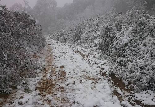 Nhiều vùng ở cửa khẩu tuyết phủ trắng núi rừng, ven đường các vật dụng, thùng nước đều bị tuyết đóng băng, bao phủ. (Ảnh Khắc Hưng).