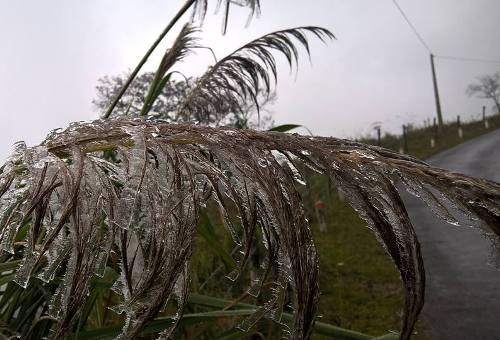 Dự báo, do ảnh hưởng của không khí lạnh có cường độ rất mạnh nên các tỉnh miền Bắc và Bắc Trung Bộ, trong đó có Nghệ An, tiếp tục duy trì rét đậm, rét hại trên diện rộng đến hết ngày 27/1, vùng núi có khả năng cao xảy ra băng giá và mưa tuyết. (Ảnh Kim Thoa).