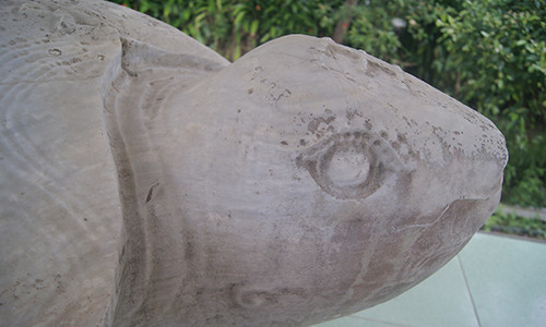 Ly ky chuyen rua da duoc phong vuong o xom Rua