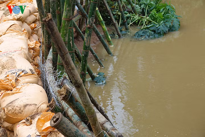 Một đoạn đường đê bị sạt lở được gia cố.