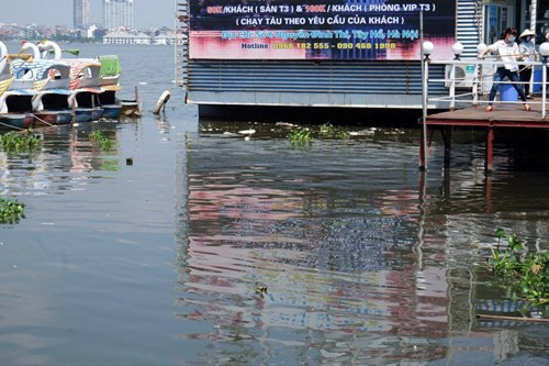 Bên cạnh rác thải sinh hoạt, dù đã 3 lần có quyết định di dời nhưng các du thuyền nhà nổi hoạt động ven hồ Tây vẫn hoạt động, xả thải trực tiếp ra hồ Tây.