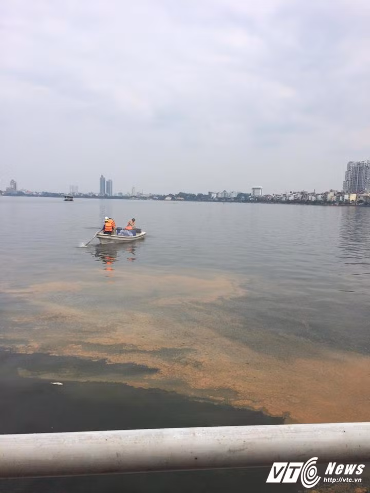 Chiều 3/10, ngoài lực lượng công an, dân phòng, công nhân môi trường, Hà Nội đã huy động thêm các đoàn sinh viên tình nguyện đến tăng cường hỗ trợ xử lý cá chết ở Hồ Tây. Theo ghi nhận của PV VTC News, dọc các con đường ven Hồ Tây như Trích Sài, Nhật Chiêu, Nguyễn Đình Thi, mùi hôi thối vẫn bốc lên nồng nặc. Nguyên nhân là do lượng cá chết vẫn chưa dừng lại, hơn nữa, nguồn nước ở Hồ Tây đã hôi thối, bốc mùi nặng nề do ngâm nước hơn hai ngày qua. Gió lớn ở Hồ Tây mang theo mùi hôi tanh phả vào đường và nhà dân khiến những ai lưu thông qua đây đều phải bịt mũi. Đặc biệt, quán ăn, nhà hàng hải sản, quán cà phê, trà đá và các cửa hiệu kinh doanh dọc các con đường quanh hồ đều phải đóng cửa hoặc lác đác một vài nơi mở cửa nhưng không có khách ra vào.