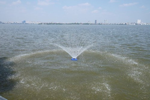 Để cải tạo môi trường nước, tạo thêm oxy cho cá, Sở Xây Dựng Hà Nội đã bố trí 10 máy tạo oxy trên mặt hồ.