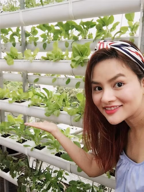 Theo đó, tại đây Vũ Thu Phương đã áp dụng phương pháp trồng rau thủy canh không cần dùng đến đất. Thay vào đó cây sẽ hút trực tiếp chất dinh dưỡng từ các dung dịch dinh dưỡng, cách này giúp người trồng không phải lo chăm bón đất mà vẫn đạt được hiệu quả cao và không làm ảnh hưởng đến môi trường.