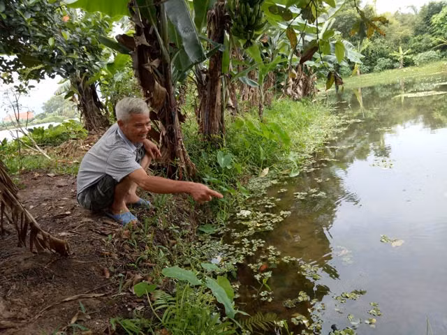 Lao nong kiem 600 trieu dong moi nam chi voi oc buou