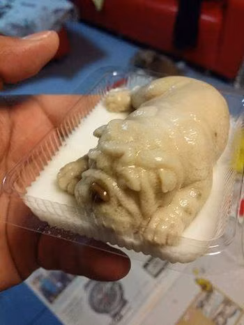 Tuy nhiên, khi cửa hàng muốn có sự đổi mới và dùng khuôn hình một chú cún con đang say ngủ, họ cũng không thể ngờ loại bánh mới này lại tạo nên một làn sóng trên mạng xã hội như vậy.