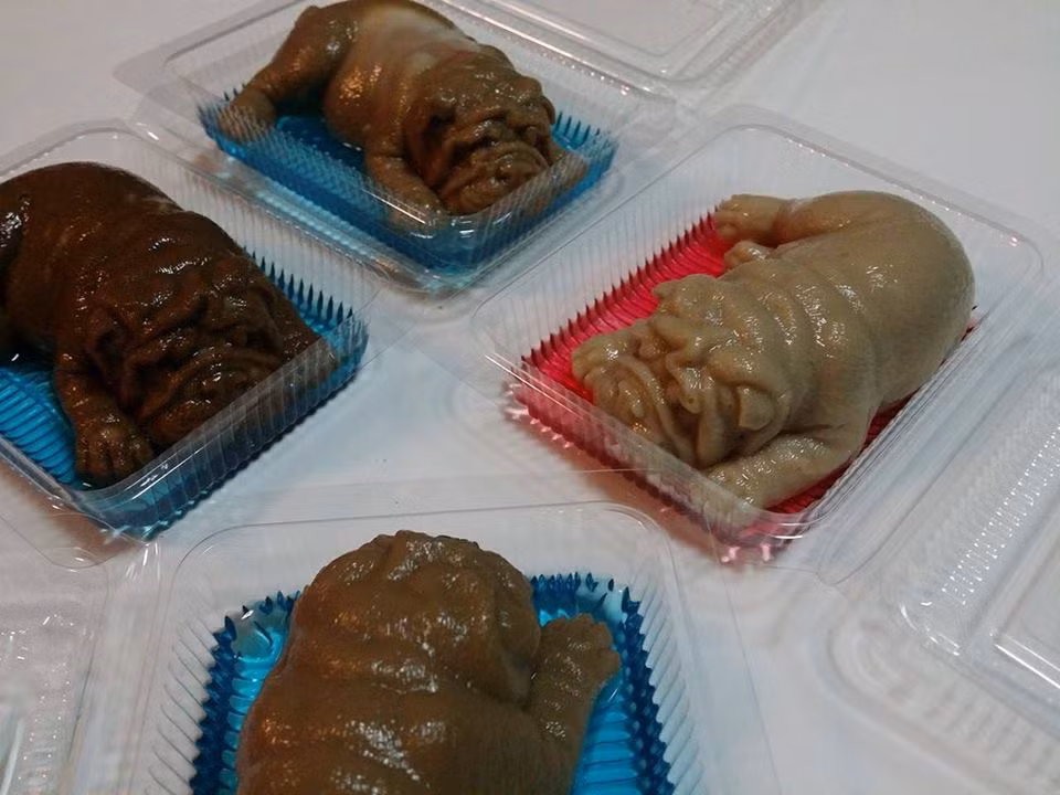 Những chiếc bánh cún con này được làm bởi tiệm bánh ngọt Wilaiwan ở Pathum Thani, Thái Lan. Ngay sau khi trang cá nhân của tiệm bánh đăng tải những hình ảnh đầu tiên về loại bánh mới ra mắt này, chỉ trong chưa đầy 24h bài viết đã đạt tới hơn 20.000 lượt chia sẻ với nhiều ý kiến trái chiều.