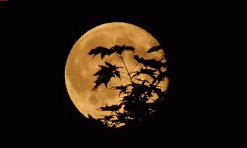 Ma quy thuc su ton tai trong thang 7 am lich?