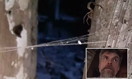 Rung minh khi buoc vao can ham bo hoang suot 300 nam