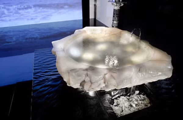 Nguyên liệu làm ra chiếc bồn tắm này được tìm thấy ở khu vực rừng Amazon, Brazil năm 2006.