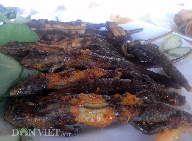 Được quý ông gọi là “sung dược”, món rắn mối ngon nhất là khi nướng rơm, còn trong nhà hàng thì chế biến cầu kỳ hơn một chút cũng chỉ là nướng muối ớt, xào xả ớt, hoặc chiên giòn. Rắn mối ngoài giá trị dinh dưỡng còn có công dụng trị nhiều bệnh, như đau lưng, hen xuyễn, đau nhức cơ thể, vô sinh...