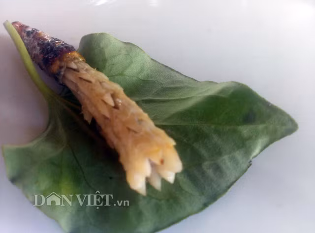 Trong con rắn mối cũng như các loại rắn nói chung, quý ông đặc biệt thích phần đuôi và cho rằng giá trị dinh dưỡng nằm cao nhất ở đây. Thịt rắn mối trắng, thớ thịt vừa dai dai lại vừa ngọt lừ, thơm nức mũi.