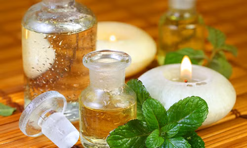 Đuổi chuột, nhện và côn trùng “sạch bay” chỉ với mẹo nhỏ Duoi chuot, nhen va con trung “sach bay” chi voi meo nho