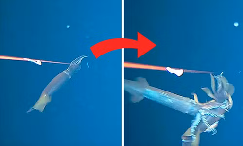 Thay canh dang so khi tha may quay xuong bien sau 134m