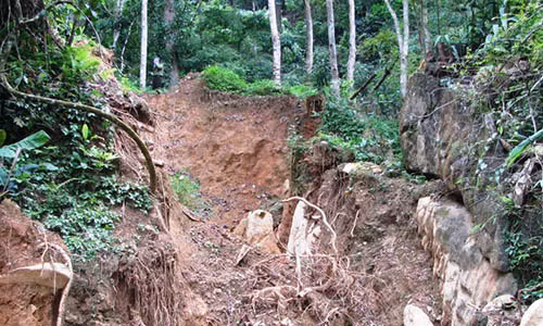 Ảnh hiện trường vụ việc.